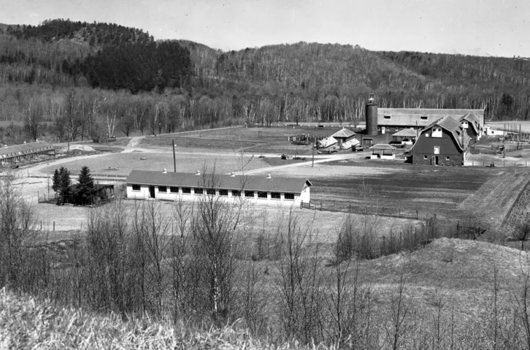 Marquette Branch Prison agriculture, part 1